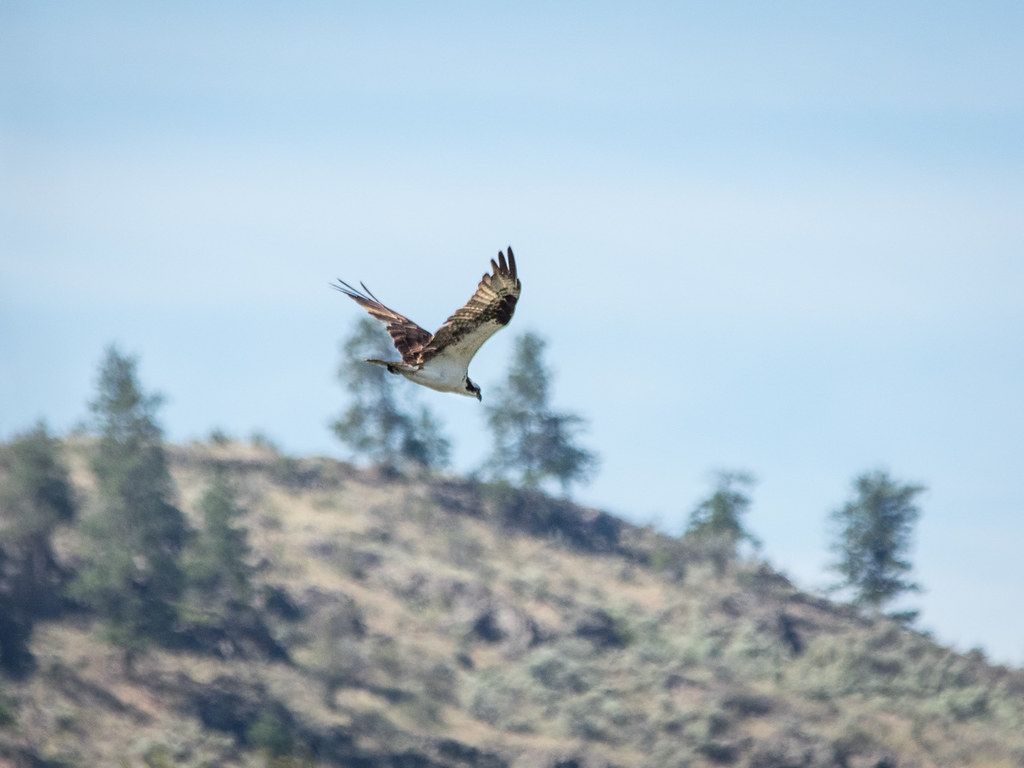 Visit BC's Desert Country