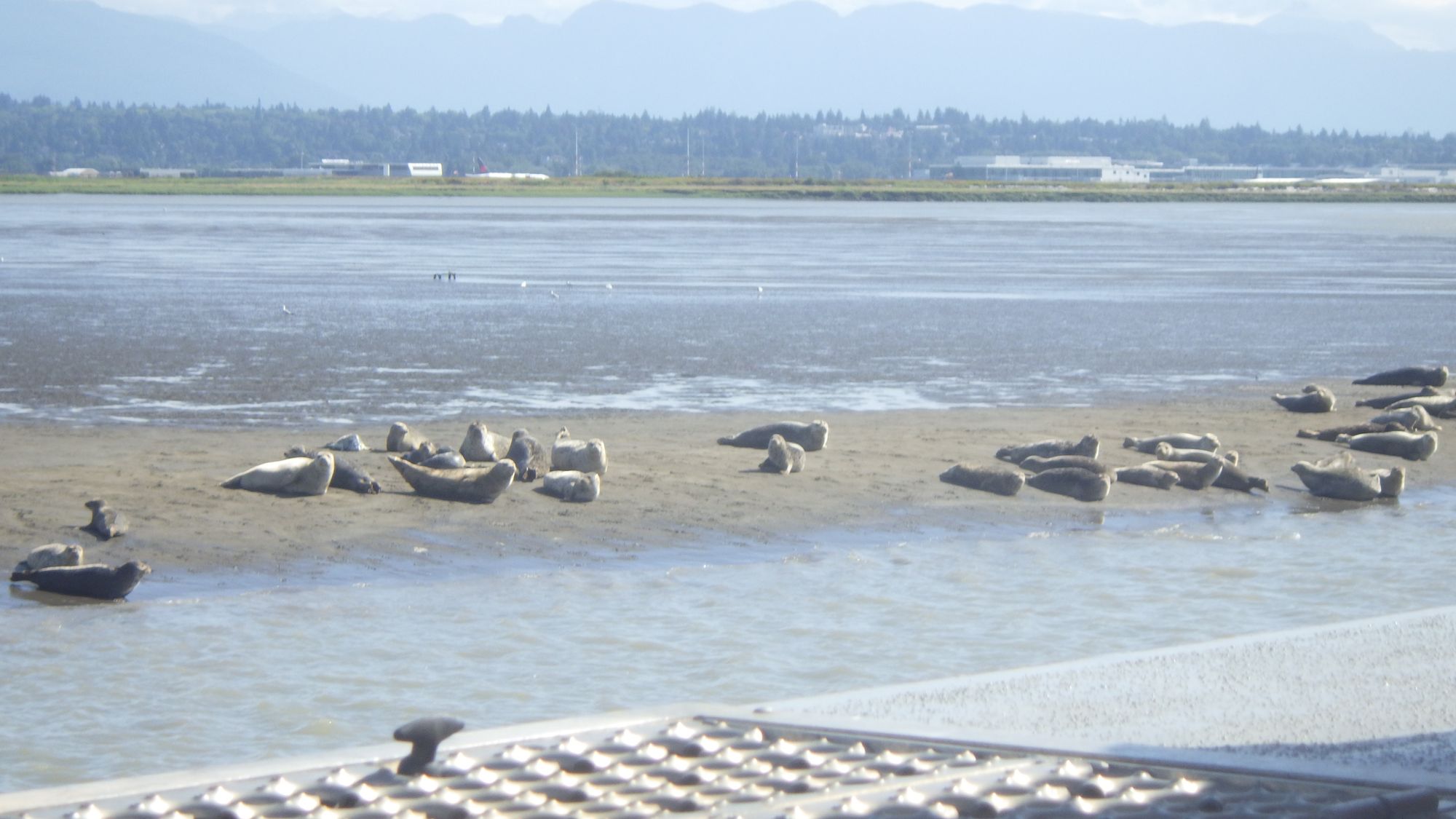 The Fraser Estuary: A Vital Linkage Across Space and Time*