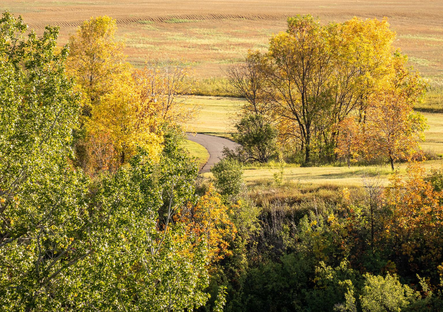 Éco dans les Prairies, Radio-Canada Saskatchewan, le 13 octobre, 2022