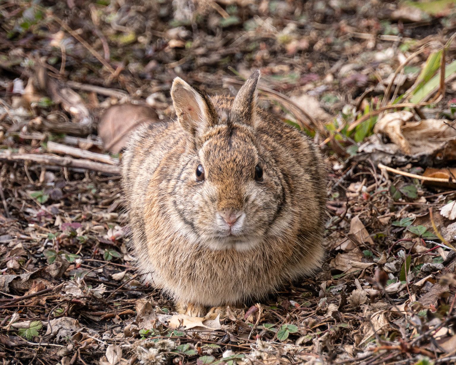 EcoWest News, March 21, 2023