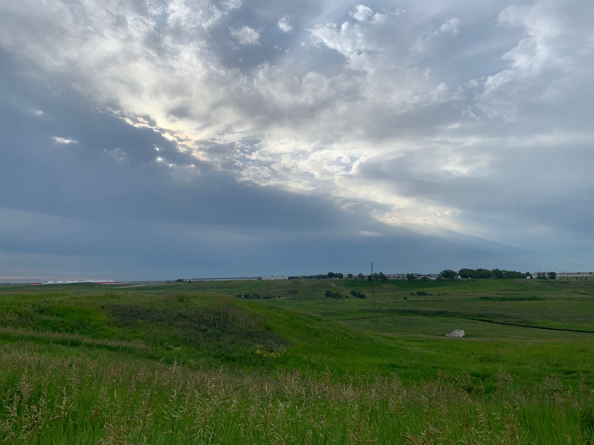 Protecting Nose Creek’s Watershed, Wildlife, History & Community Green Space in Calgary