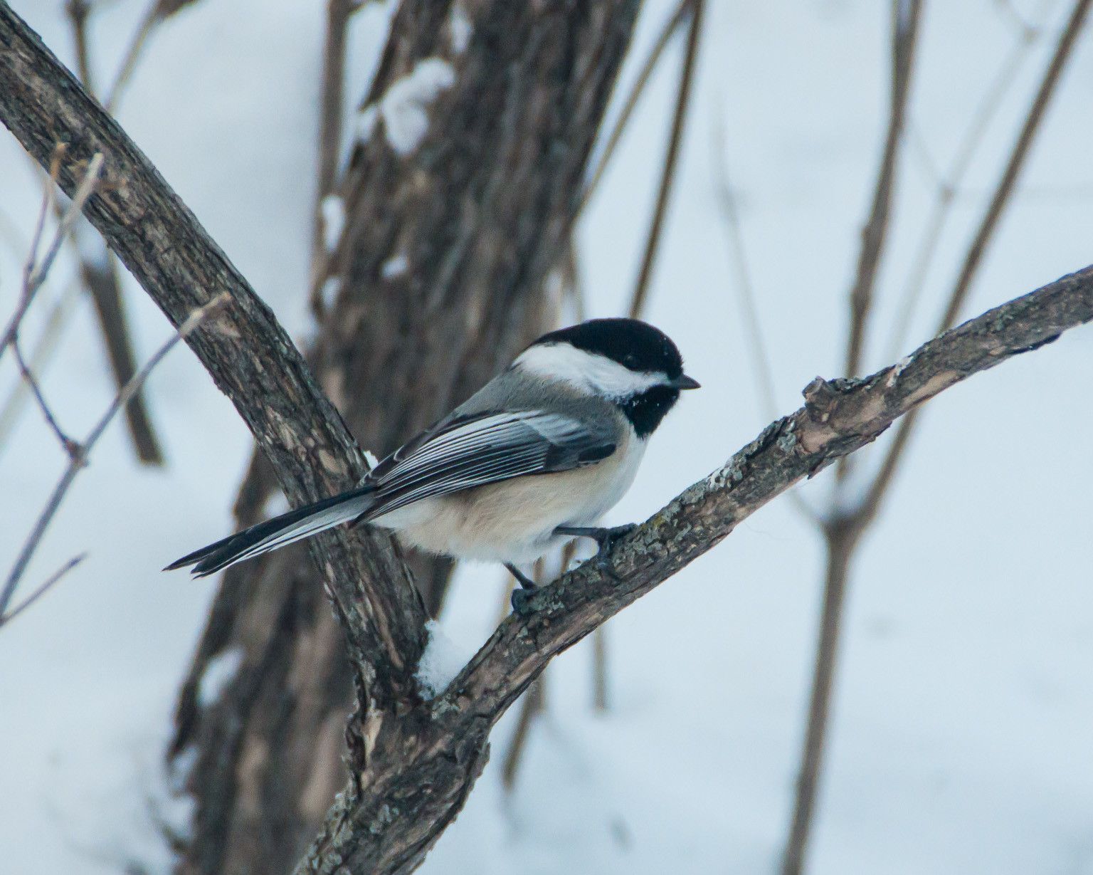 Exploring the Senses: Hot and Cold