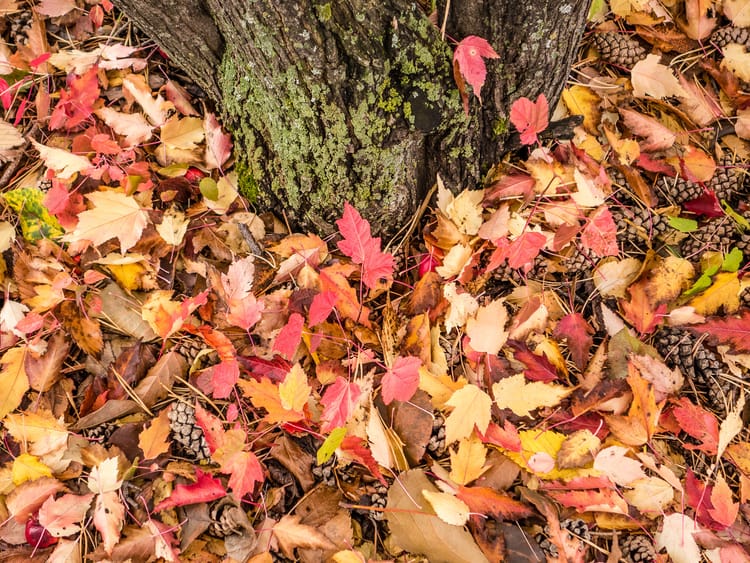 EcoWest News, September 20, 2022