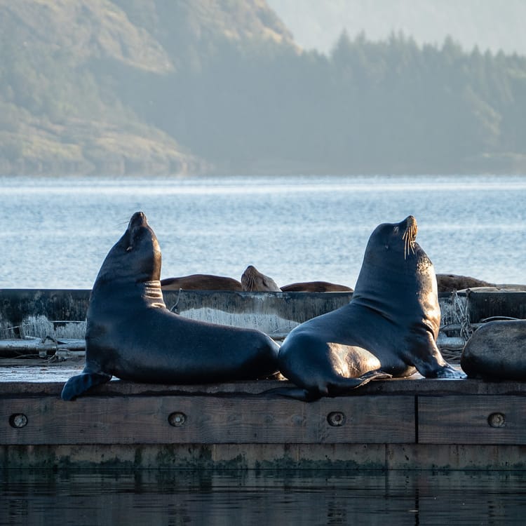 EcoWest News, September 6, 2022
