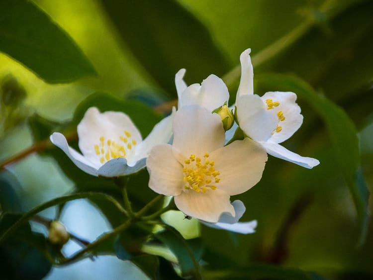 EcoWest News, April 11, 2023