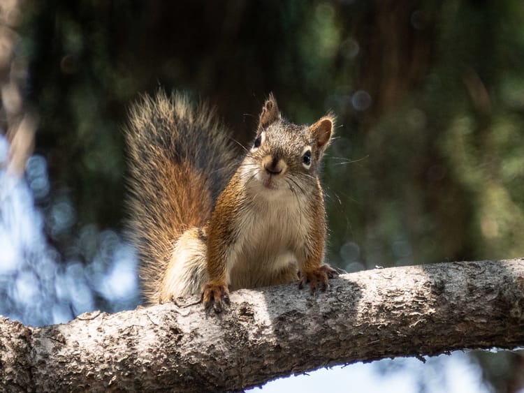 EcoWest News, August 22, 2023