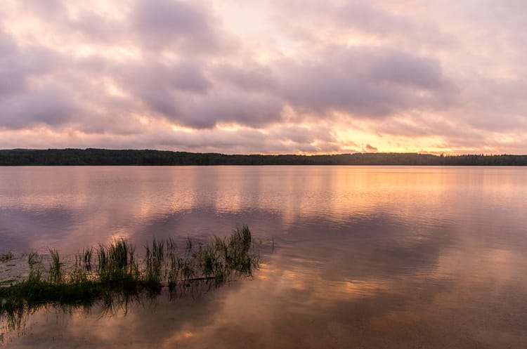EcoWest News, August 29, 2023