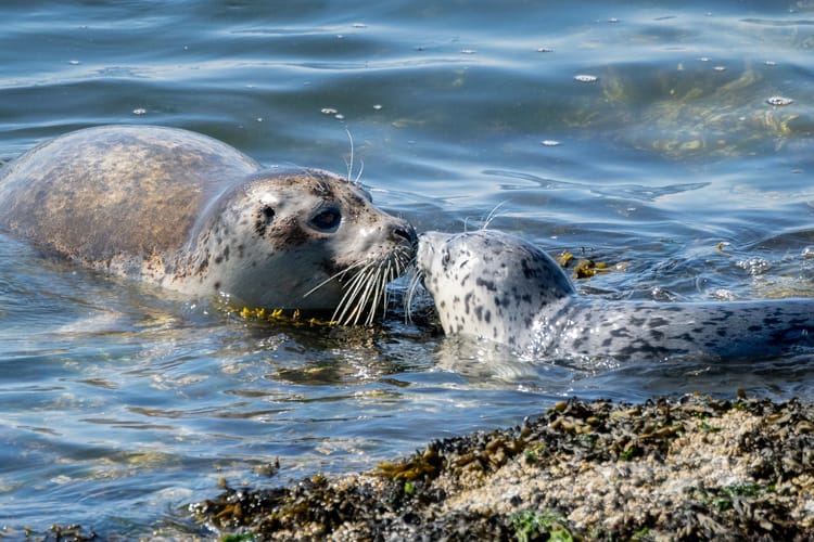 EcoWest News, September 5, 2023