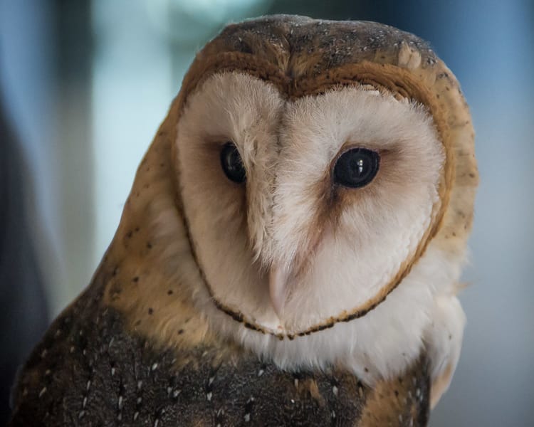 EcoWest News, October 3, 2023