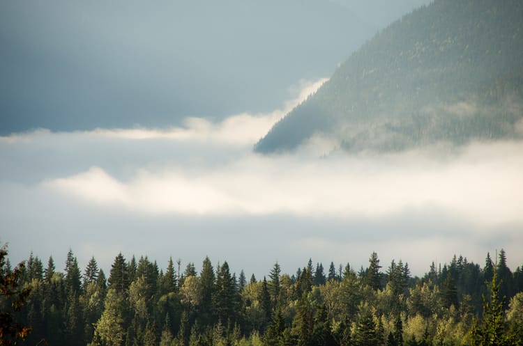 EcoWest News, November 28, 2023