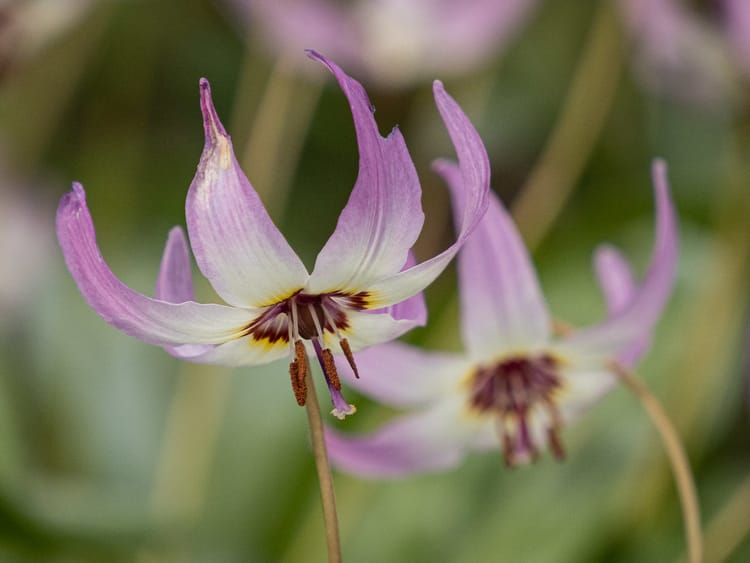 EcoWest News, May 7, 2024