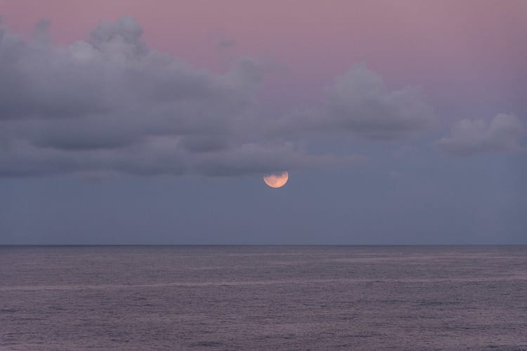 Community Leaders & Books: October 2025