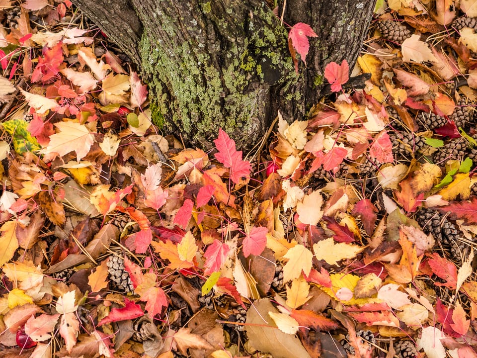 EcoWest News, September 20, 2022