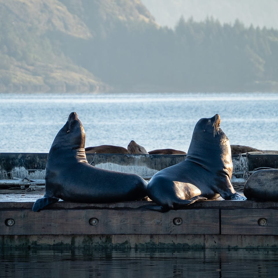 EcoWest News, September 6, 2022