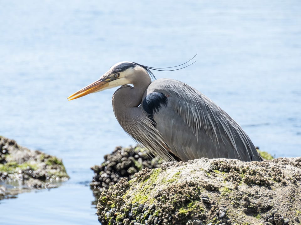 EcoWest News, March 19, 2024