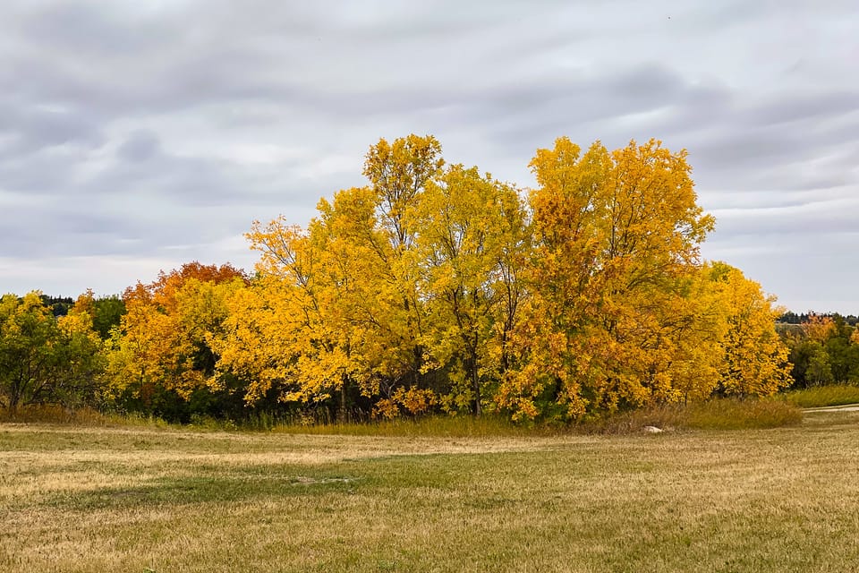 EcoWest News, October 7, 2025