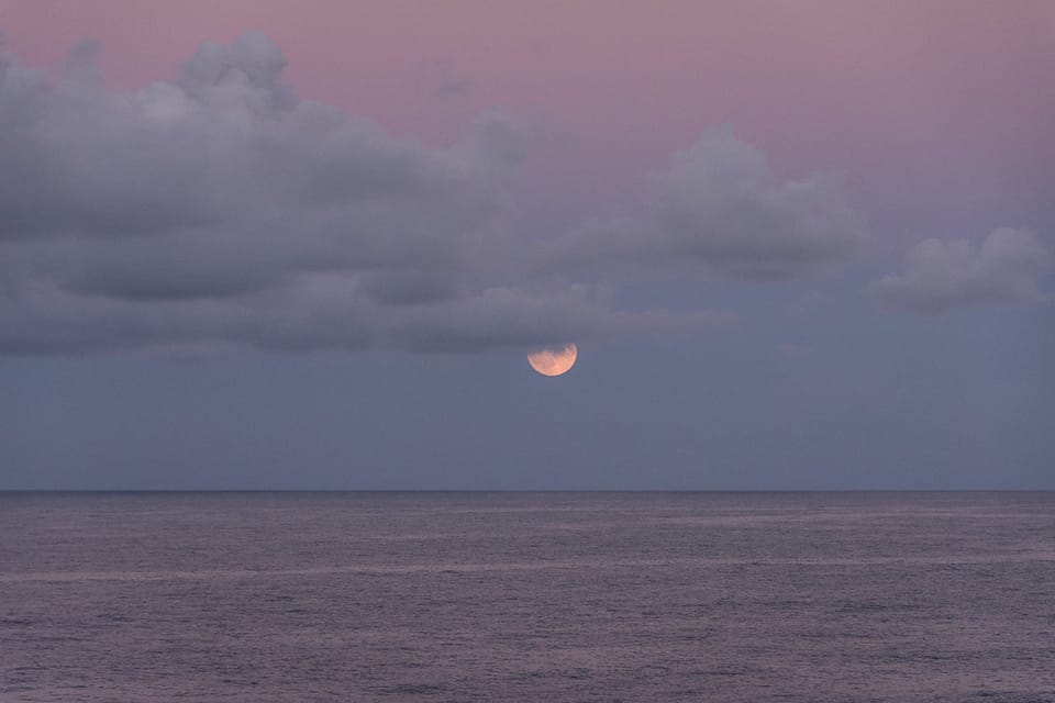 Community Leaders & Books: October 2025