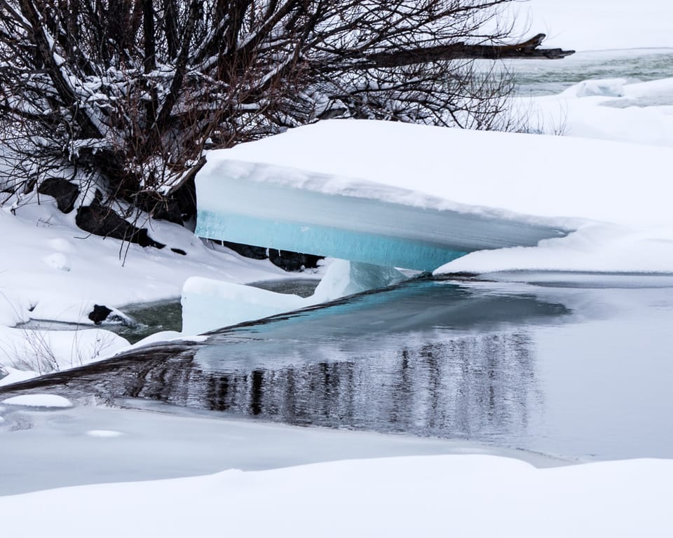 EcoWest News, January 6, 2026