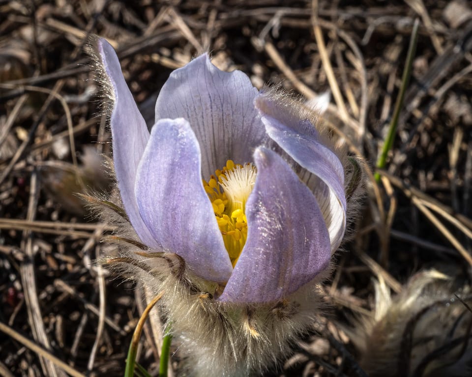 EcoWest News, March 24, 2026